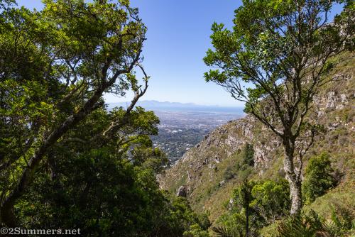 A view from Skeleton Gorge