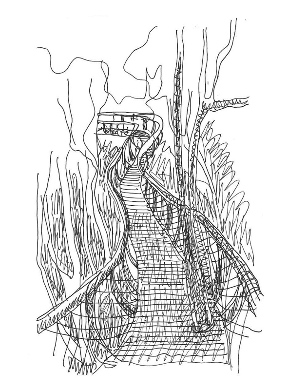 Thorsten Boomslang