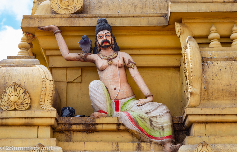 Deity and pigeon