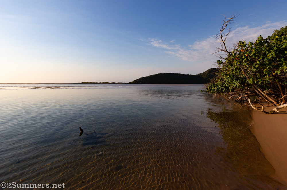Kosi Mouth estuary