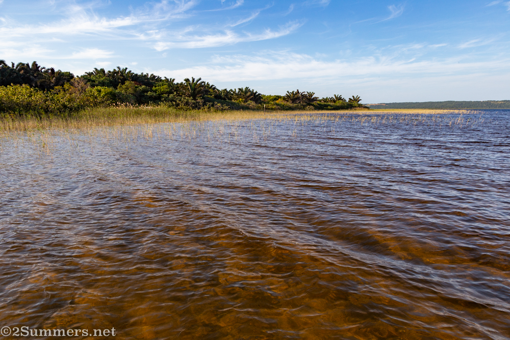 Kosi Bay water