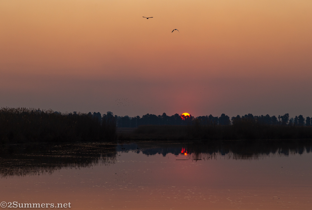 Sunset