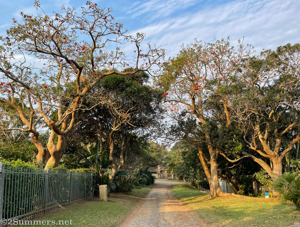 Road in Leisure Bay