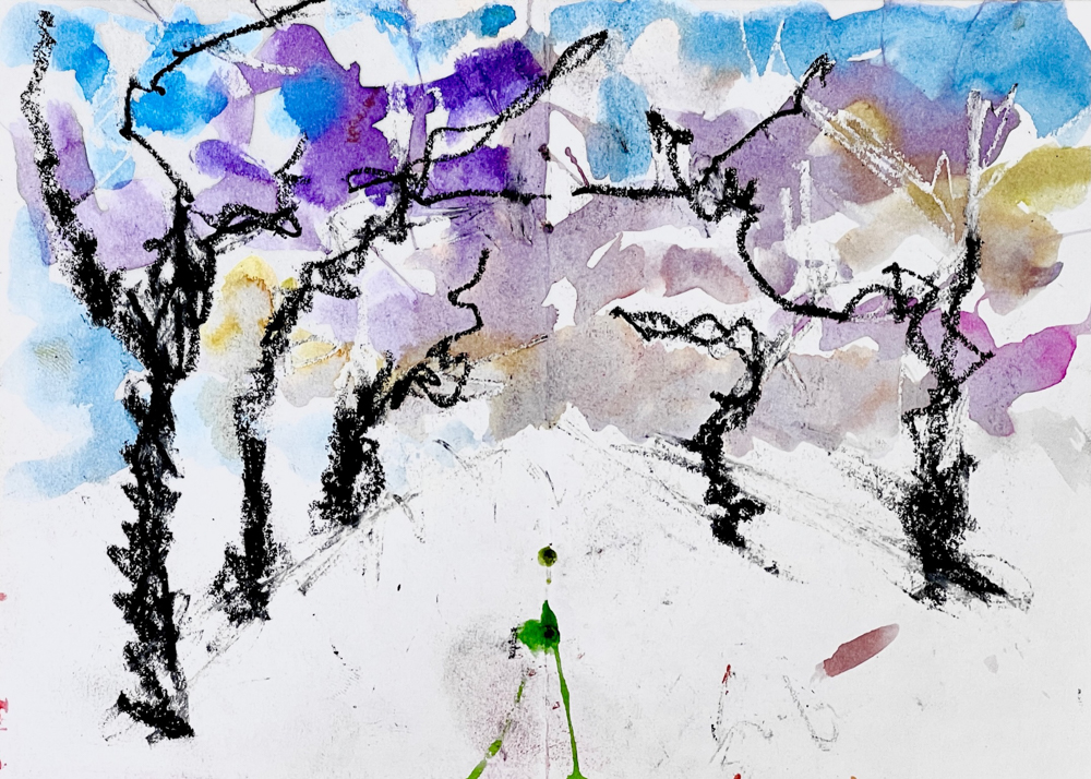 Jacaranda sketch