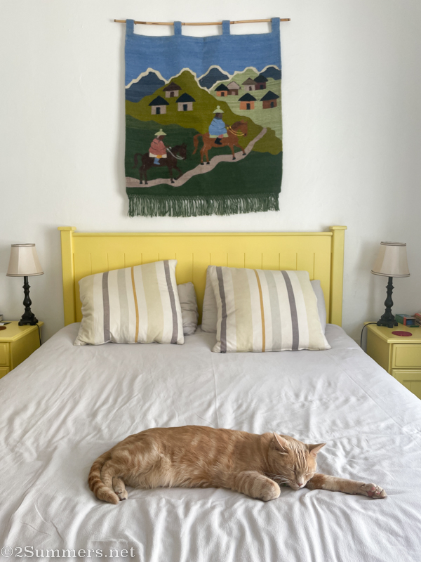 Trixie on the bed