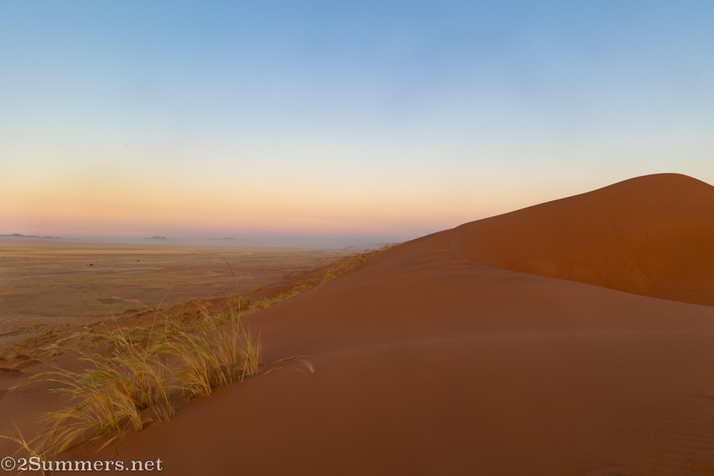 Dune