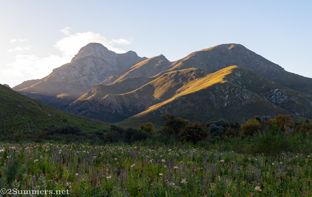 Morning in the Greyton Nature Reserve