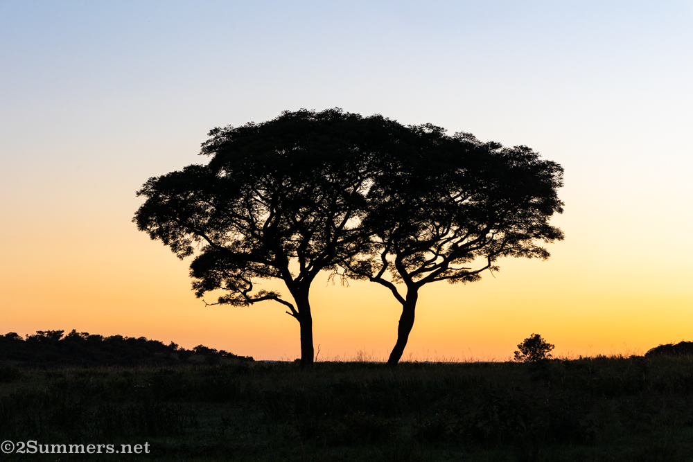 Sunrise at Ezemvelo