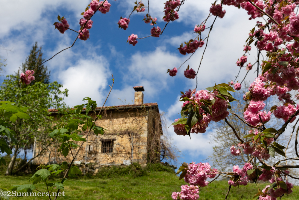 Spring in the Picos de Europa