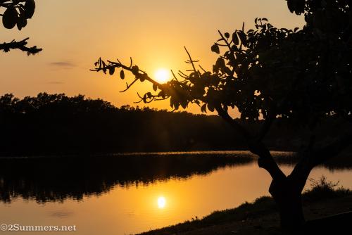 Mtunzini sunrise