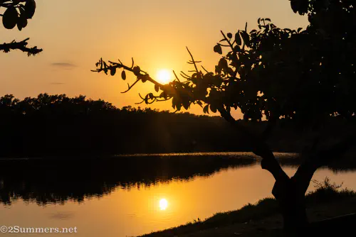 Mtunzini sunrise