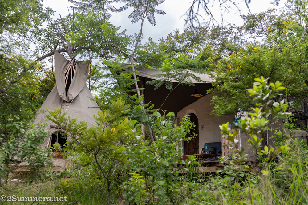 Tipi area through the trees