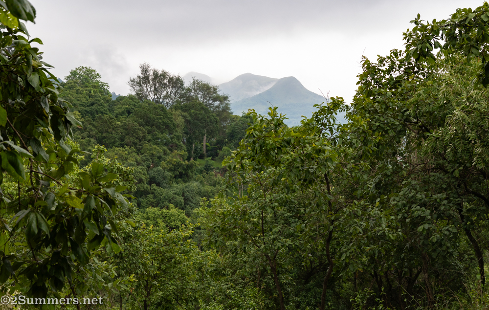 View from the hut
